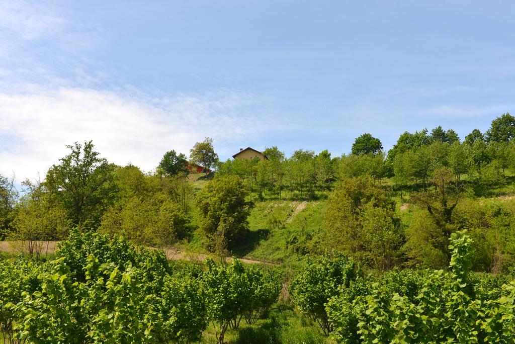 Casa Vacanze Il Brichet Mondovì Quarto foto